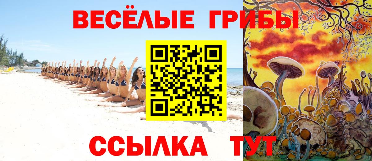 Галлюциногенные грибы мухоморы Коряжма
